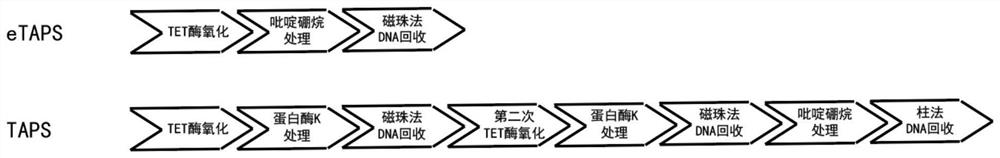 Nucleic acid methylation cytosine conversion method