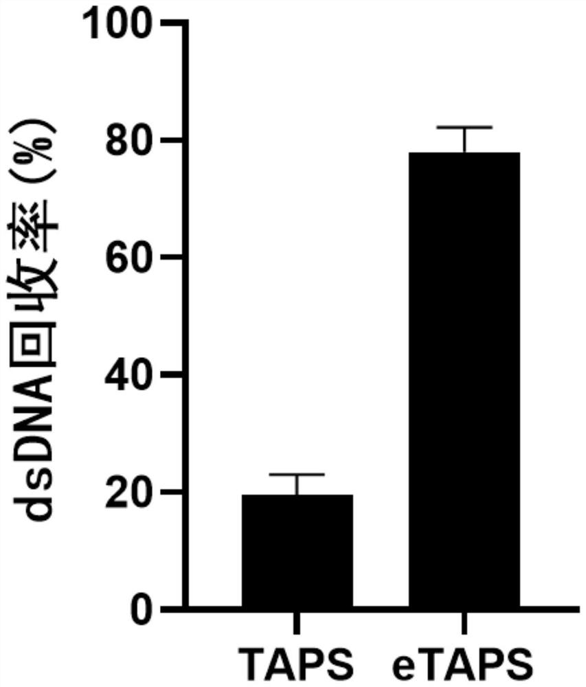 Nucleic acid methylation cytosine conversion method