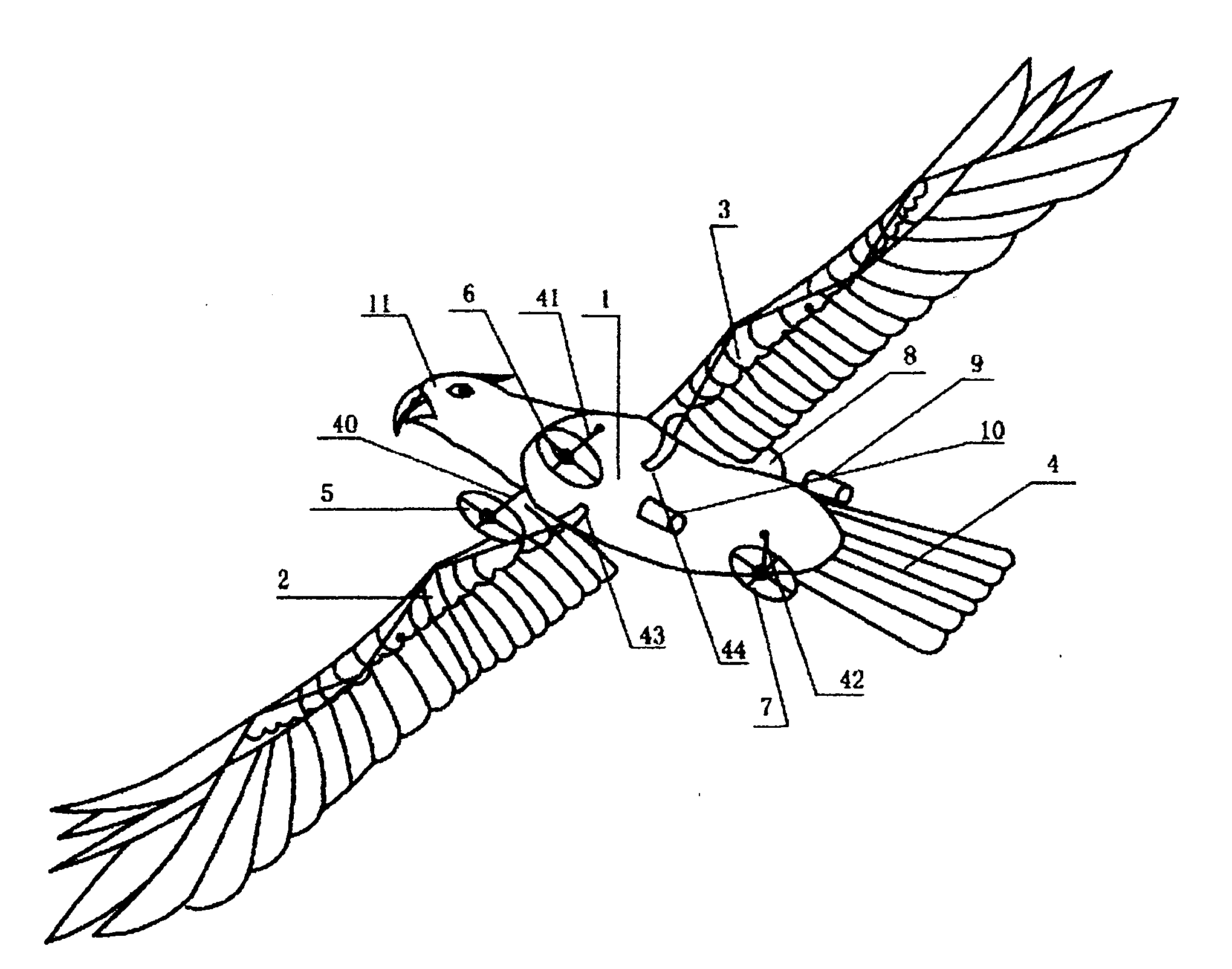 Bionic aircraft