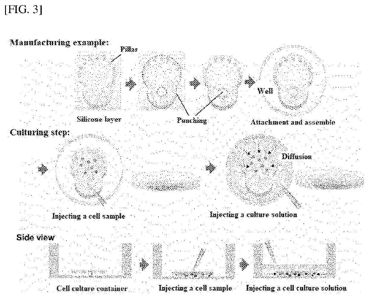 Three-dimensional cell culture container