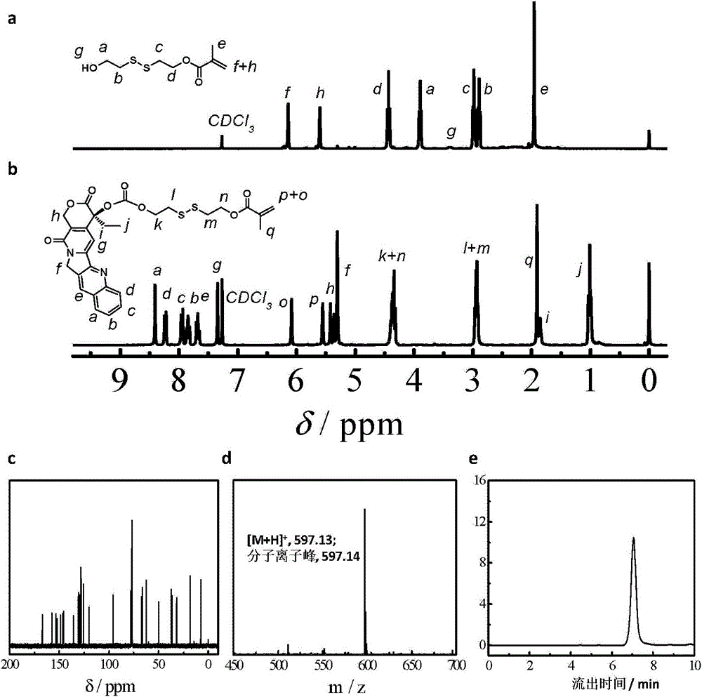 Camptothecin prodrug monomer and polymeric prodrug amphipathic molecules thereof as well as preparation method and application of camptothecin prodrug monomer and polymeric prodrug amphipathic molecules