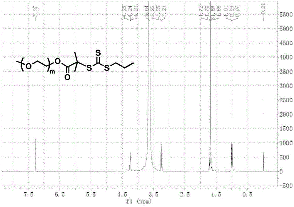 Camptothecin prodrug monomer and polymeric prodrug amphipathic molecules thereof as well as preparation method and application of camptothecin prodrug monomer and polymeric prodrug amphipathic molecules