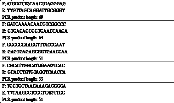 High-sensitivity single-molecule RNA virus detection method based on RNA fluorescence in situ hybridization