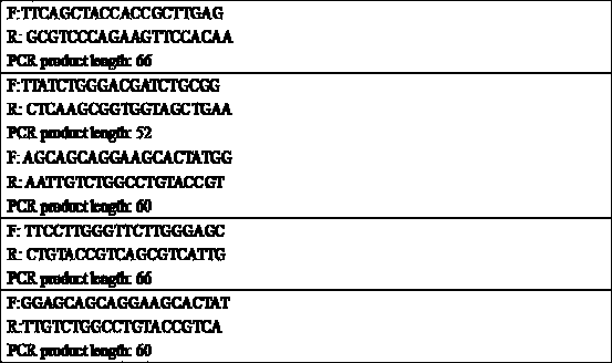 High-sensitivity single-molecule RNA virus detection method based on RNA fluorescence in situ hybridization