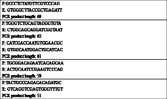 High-sensitivity single-molecule RNA virus detection method based on RNA fluorescence in situ hybridization