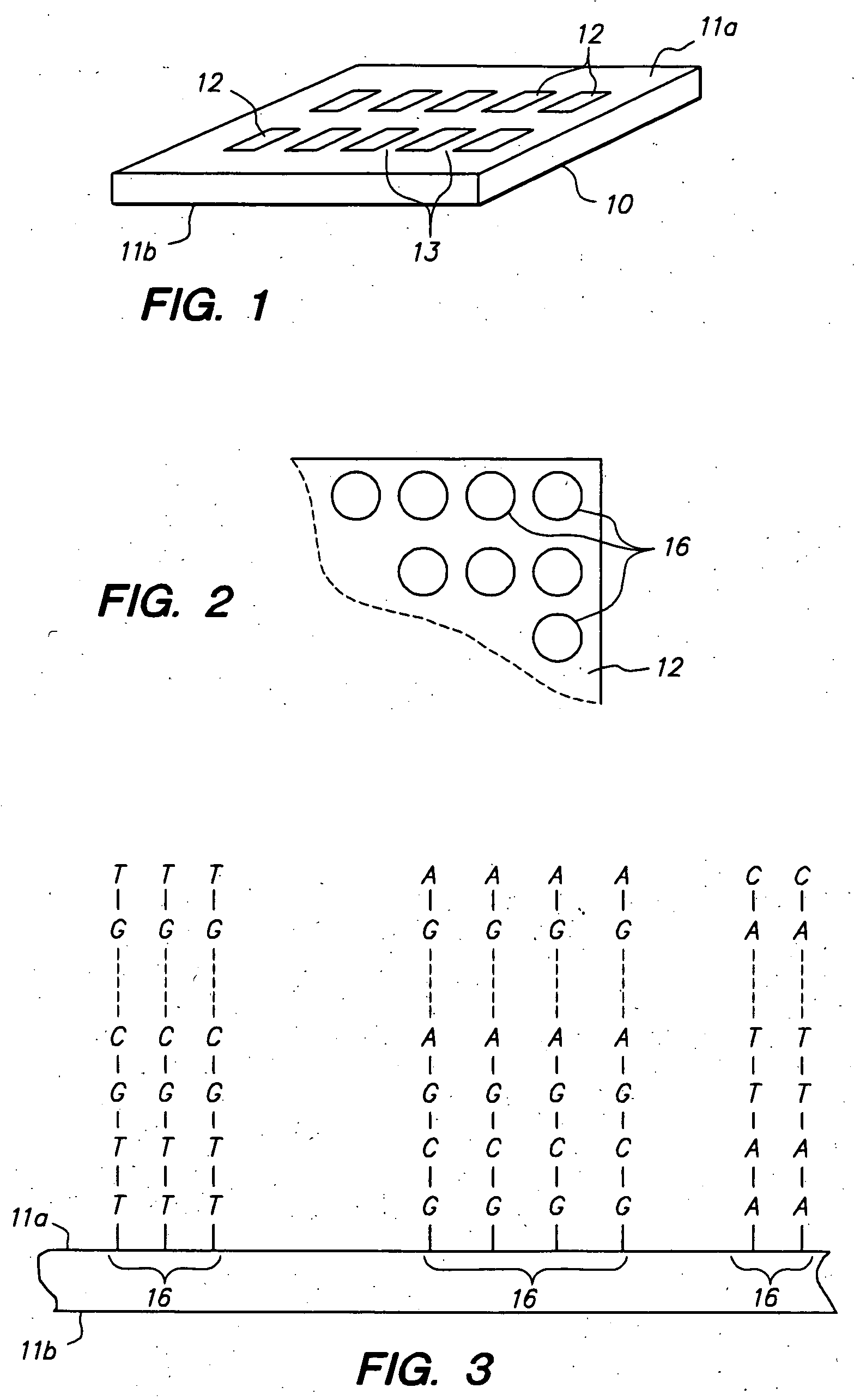 Testing multiple fluid samples with multiple biopolymer arrays