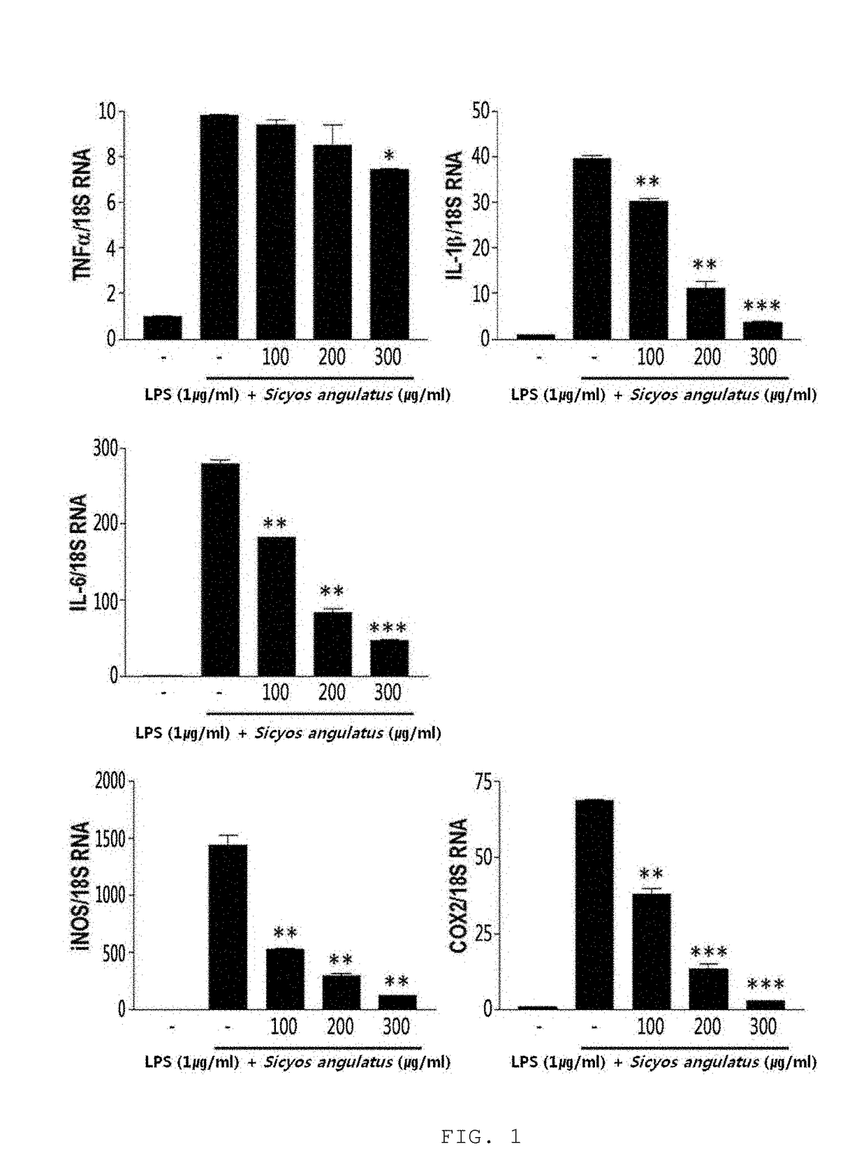 Composition for treating or preventing liver diseases, containing sicyos angulatus extract as active ingredient