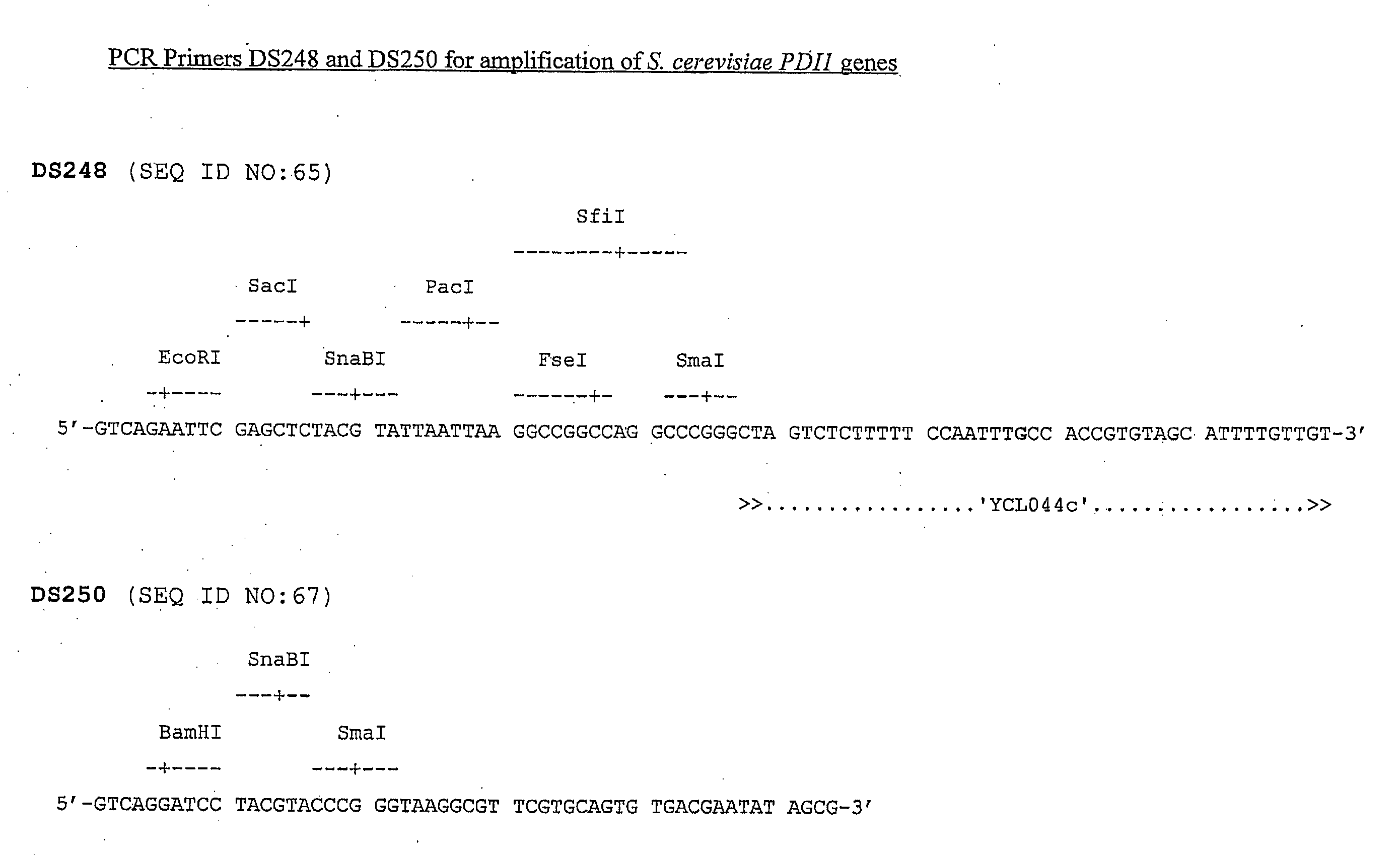 2-Micron Family Plasmid and Use Thereof