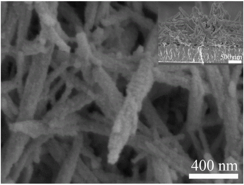 Electrochromic film adopting amorphous/crystalline tungsten trioxide core-shell structure and preparation method of film