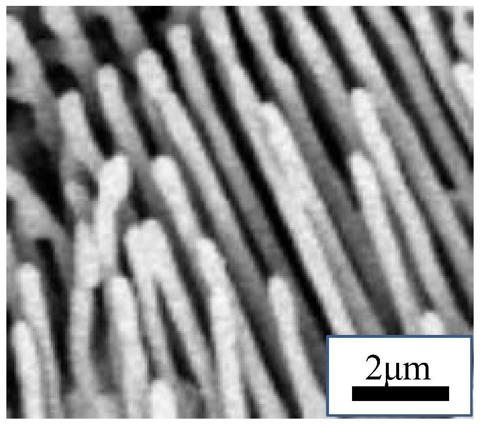 Method for preparing metal nanowire array on the basis of interface reaction and solid-state phase change