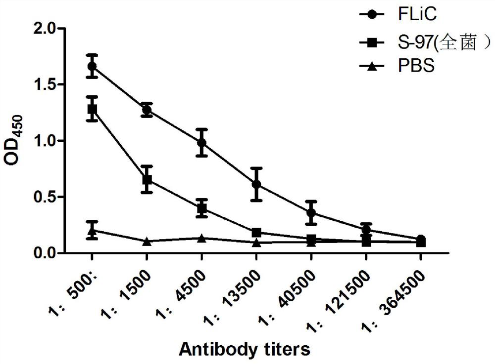 A kind of preparation method and application of Salmonella equine abortus flagellin flic