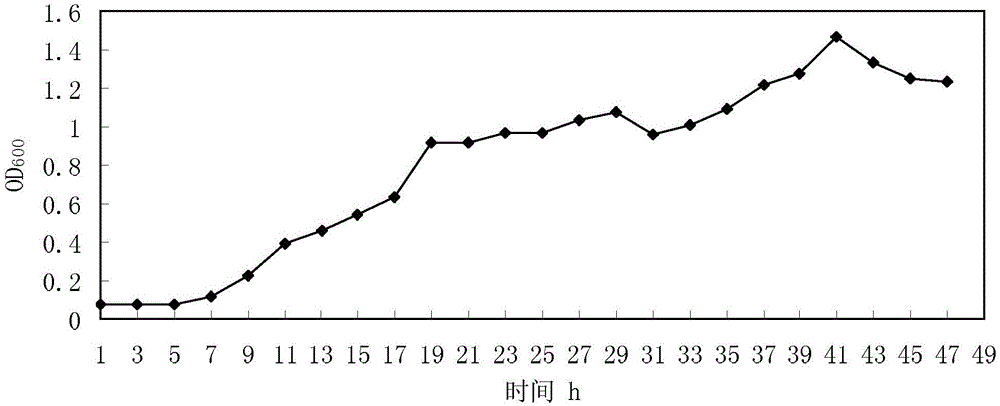 Bacillus cereus capable of degrading phenol and having electrogenesis characteristic and application thereof