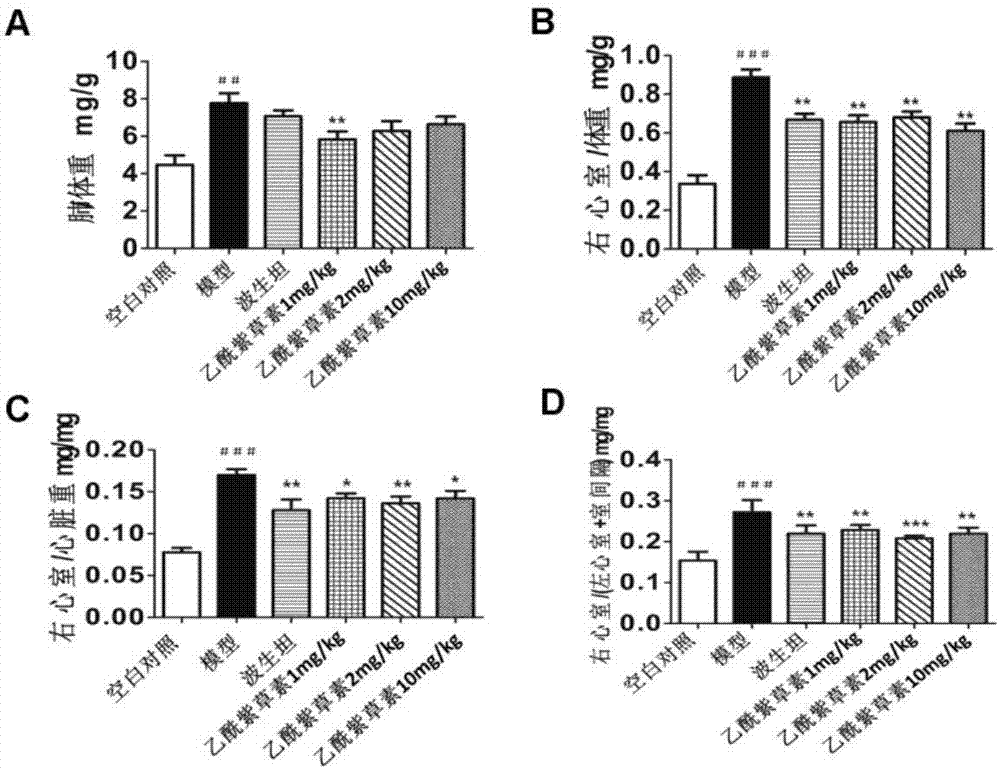 Drug composition containing acetylshikonin and application thereof in drugs for pulmonary artery hypertension