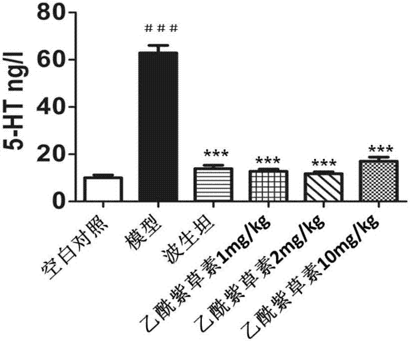 Drug composition containing acetylshikonin and application thereof in drugs for pulmonary artery hypertension