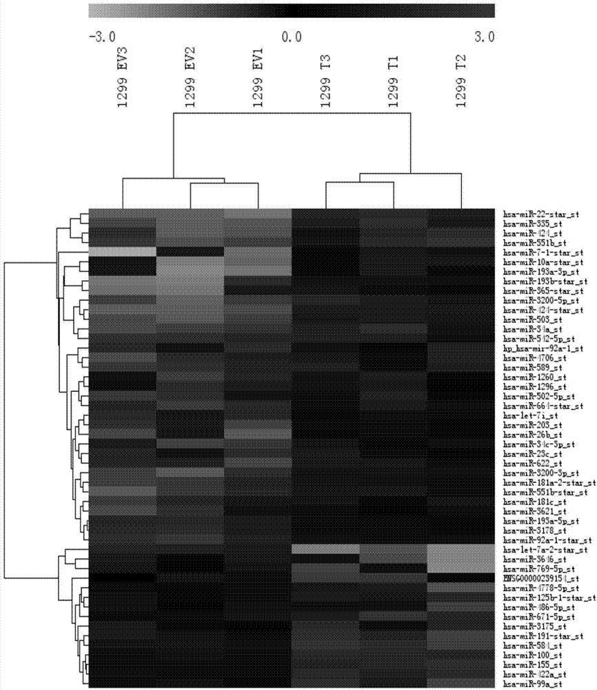 Application of microRNAs in preparation of reagent or kit for early screening or diagnosing Brachyury positive tumors