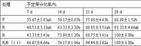 LED light source based anthurium andraeanum tissue culture method