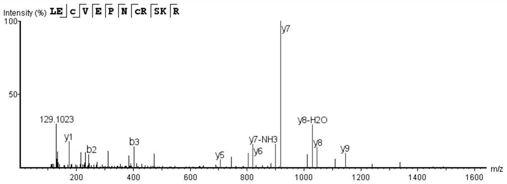 A kind of biologically active peptide lecvepncrskr and its preparation method and application