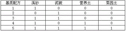 Summer domestication transition method of strawberry tissue culture seedlings