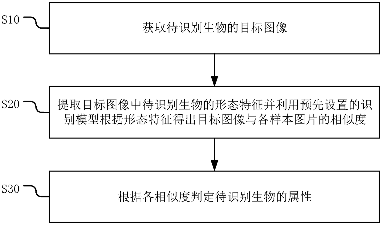 Method, apparatus and device for recognizing biological attribute