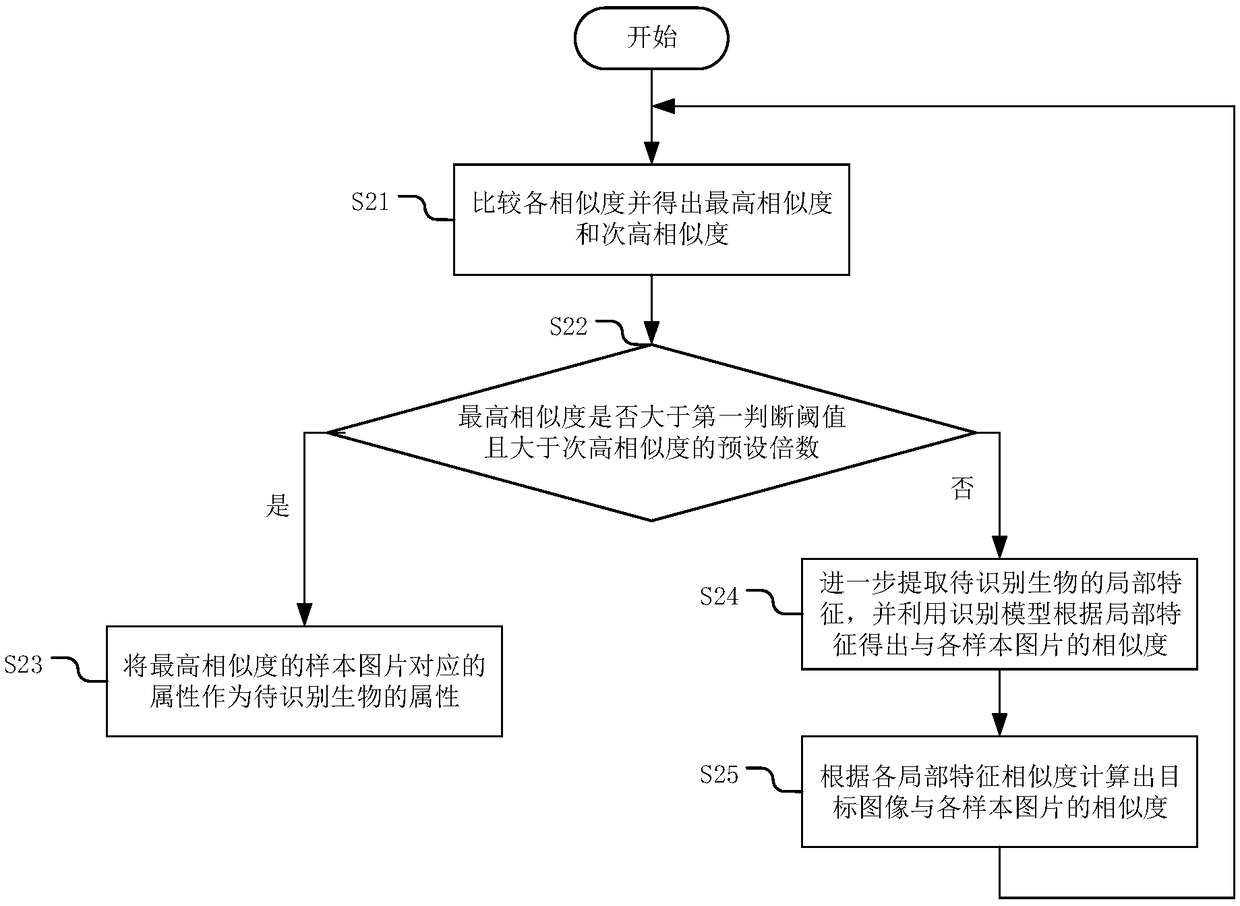 Method, apparatus and device for recognizing biological attribute