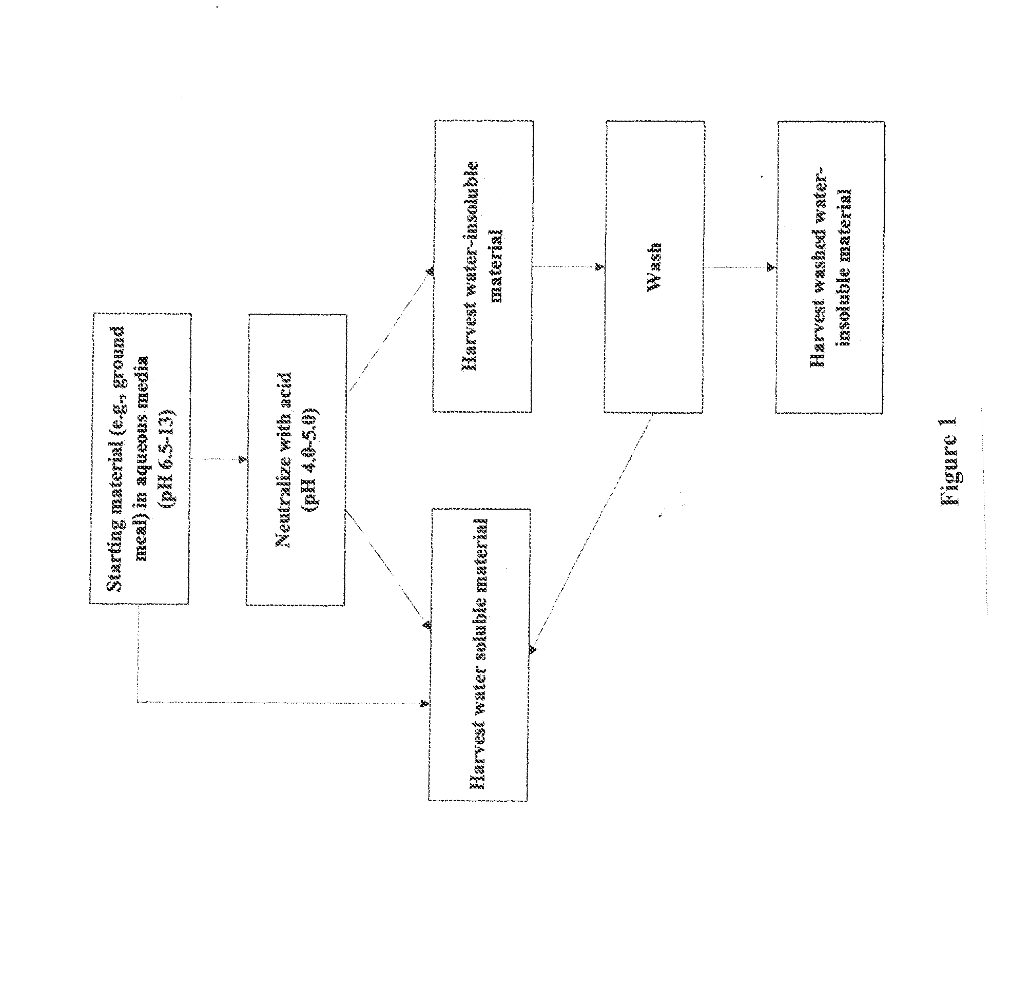 Protein adhesives containing an anhydride, carboxylic acid, and/or carboxylate salt compound and their use