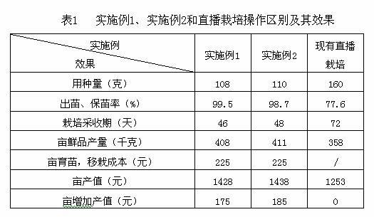 Seedling and transplanting method of erigeron breviscapus seeds as well as seedling medium and seedling culture liquid special for erigeron breviscapus seeds