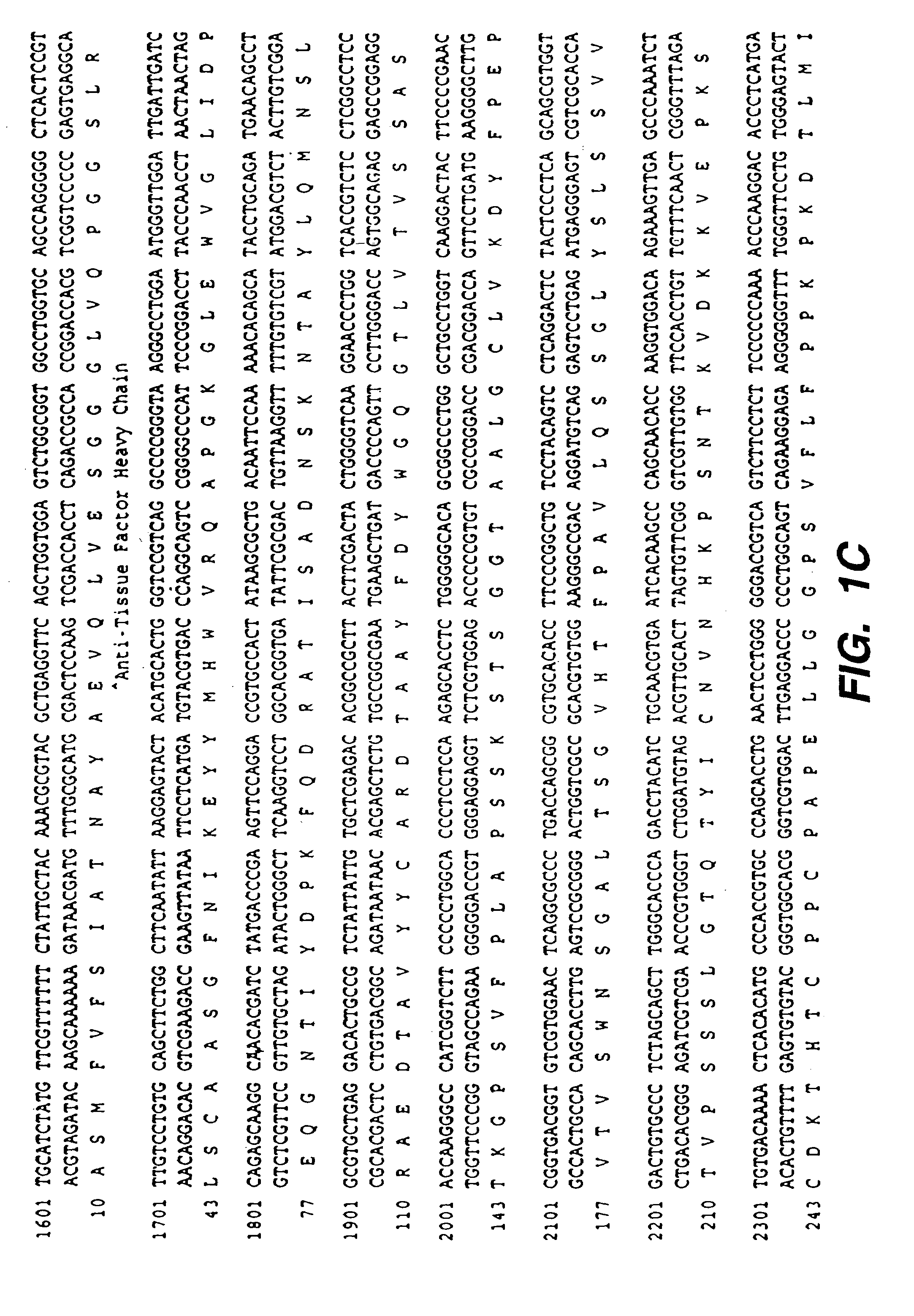 Methods and compositions for increasing antibody production