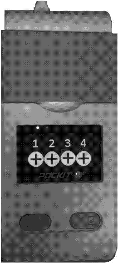 POCKIT Micro fluorescent PCR platform-based cattle and sheep echinococcosis granulose detection kit, and applications thereof