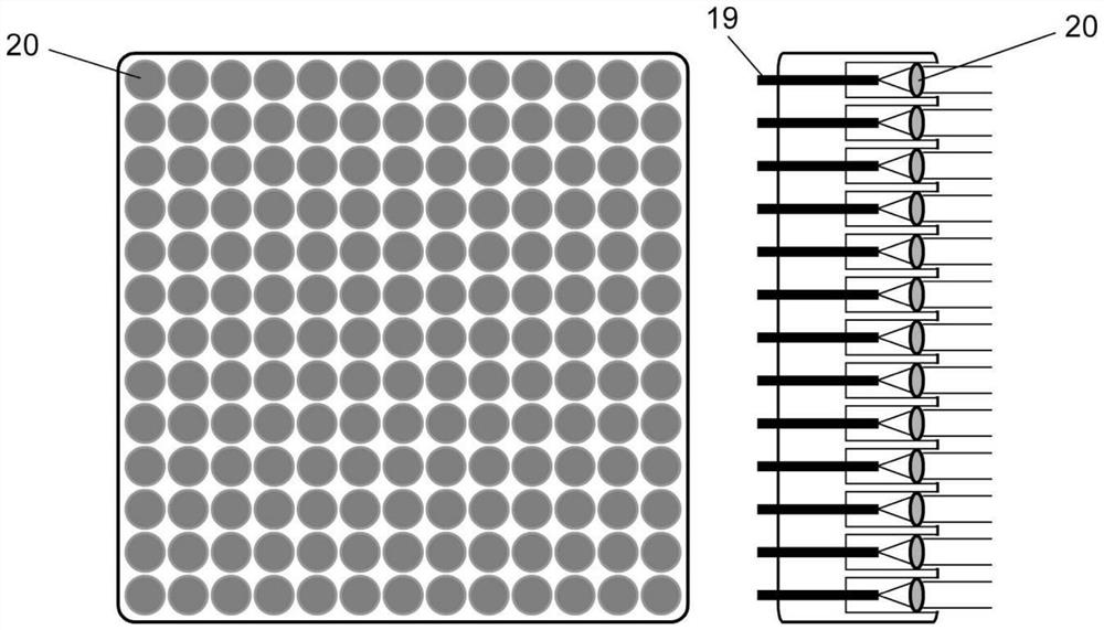 Hemispherical space compound eye-like somatic cell laser-induced fluorescence detector