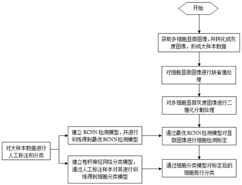 Multicellular sphere recognition and classification method based on deep learning