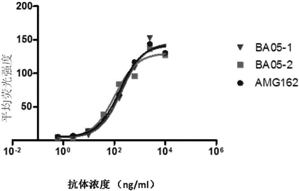 Fully human anti-RANKL antibody