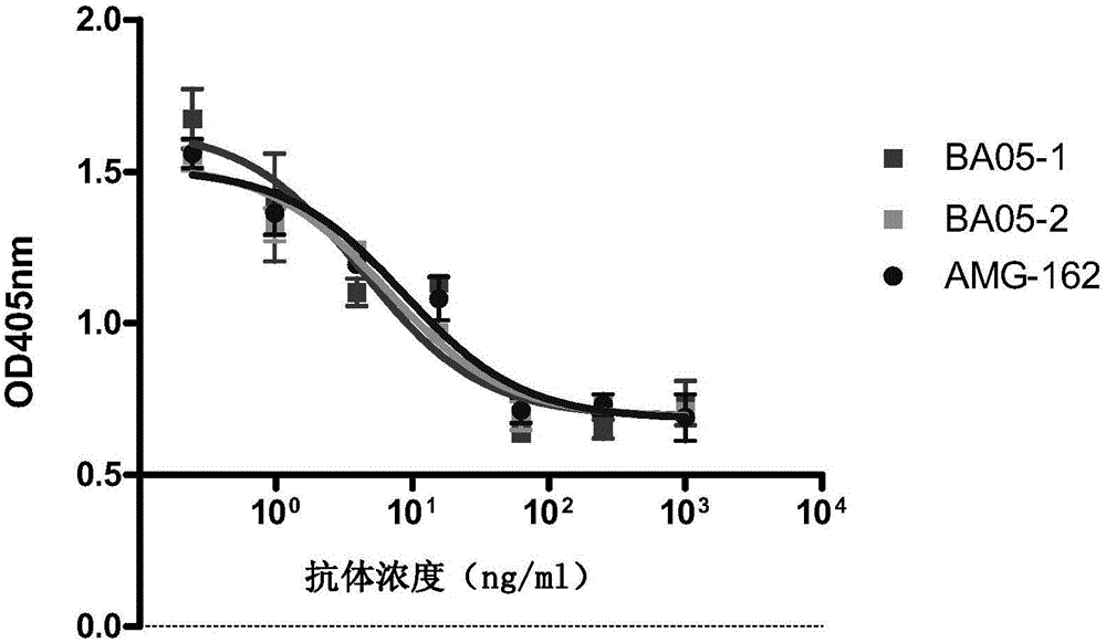 Fully human anti-RANKL antibody