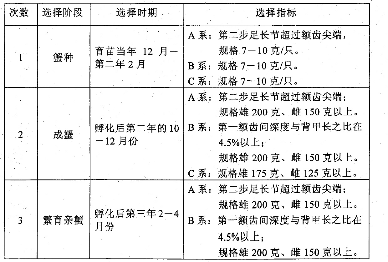 Method for establishing and breeding three matched breeding systems of Eriocheir sinensis