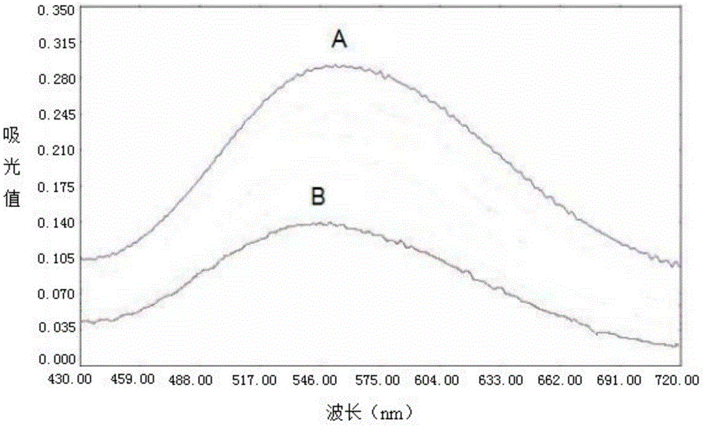 Rapid protein detection kit as well as detection method and application using same