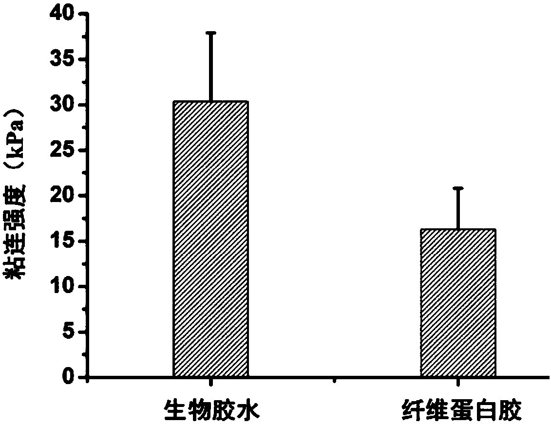 Biological glue based on polyhedral oligomeric silsesquioxane modified polyethylene glycol, preparation method and applications thereof