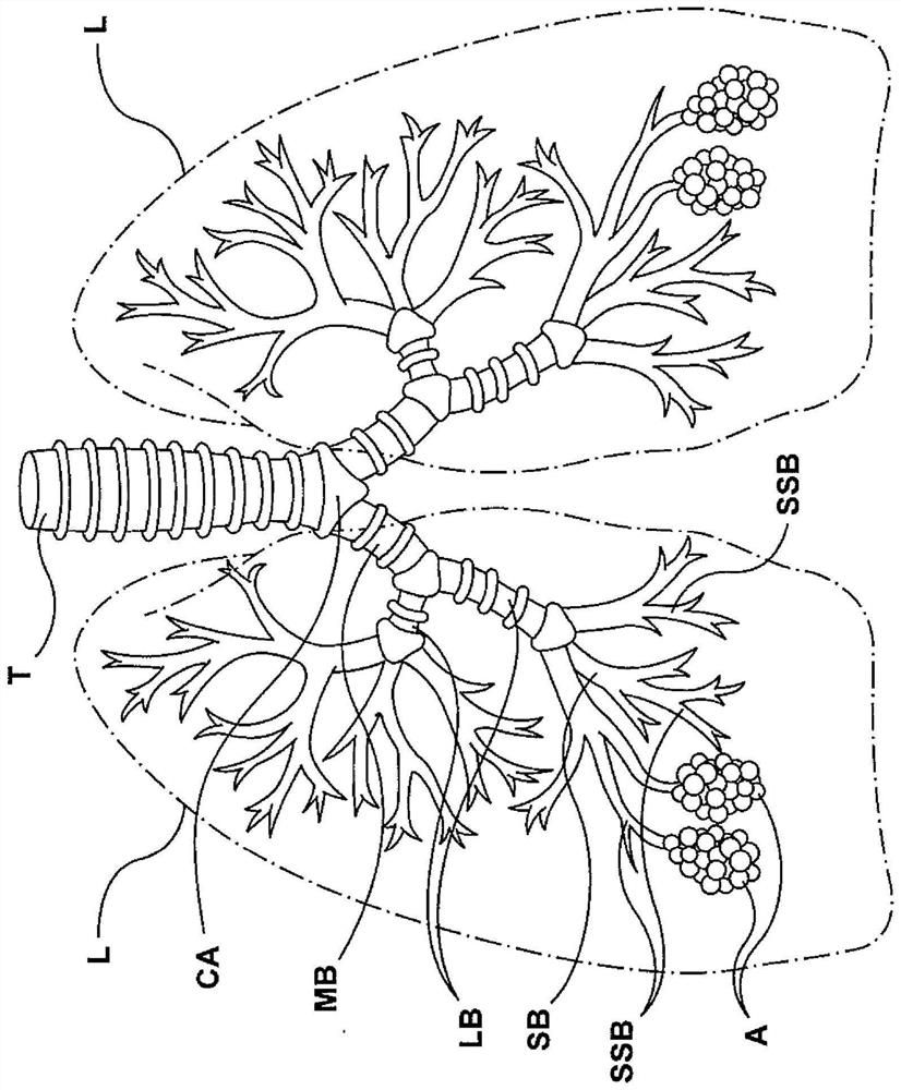 Methods, apparatuses, and systems for the treatment of disease states and disorders