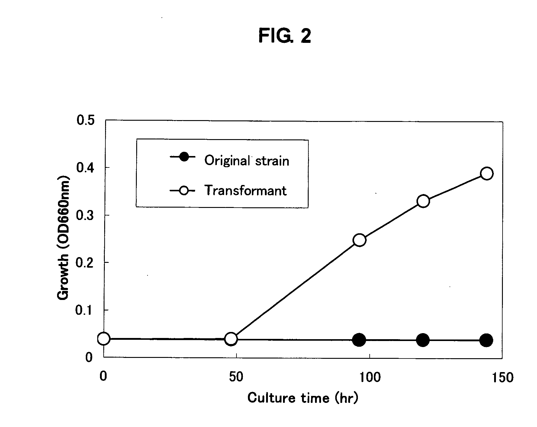 Gene participating in growth promoting function of acetic acid bacterium and utilization of the same