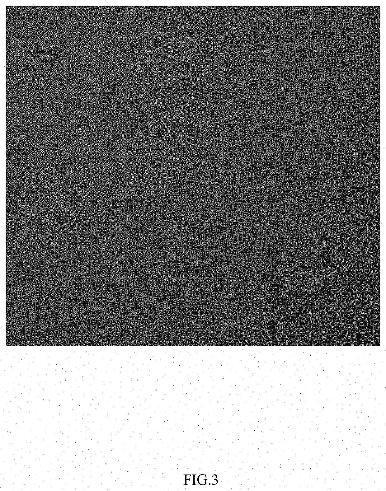 Method to produce protein in Aspergillus niger's resting spores using SSRNA