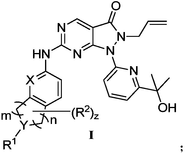 Pyrazolone pyrimidine compound as well as preparation method and application thereof