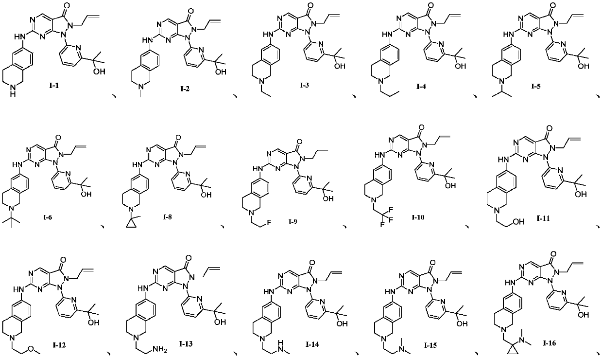 Pyrazolone pyrimidine compound as well as preparation method and application thereof