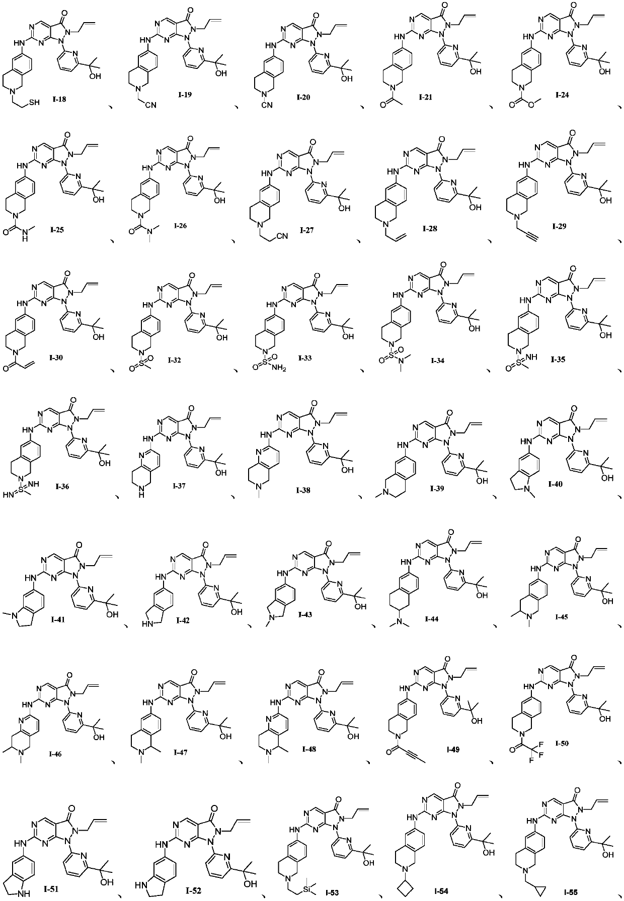 Pyrazolone pyrimidine compound as well as preparation method and application thereof