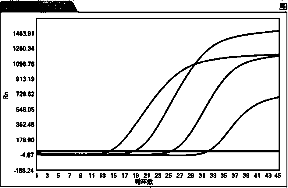 Hepatitis B virus serum sample preserving diluent and preparation method thereof