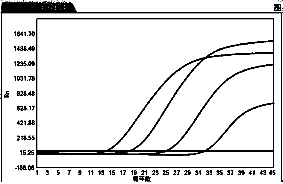 Hepatitis B virus serum sample preserving diluent and preparation method thereof