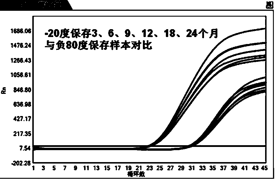 Hepatitis B virus serum sample preserving diluent and preparation method thereof