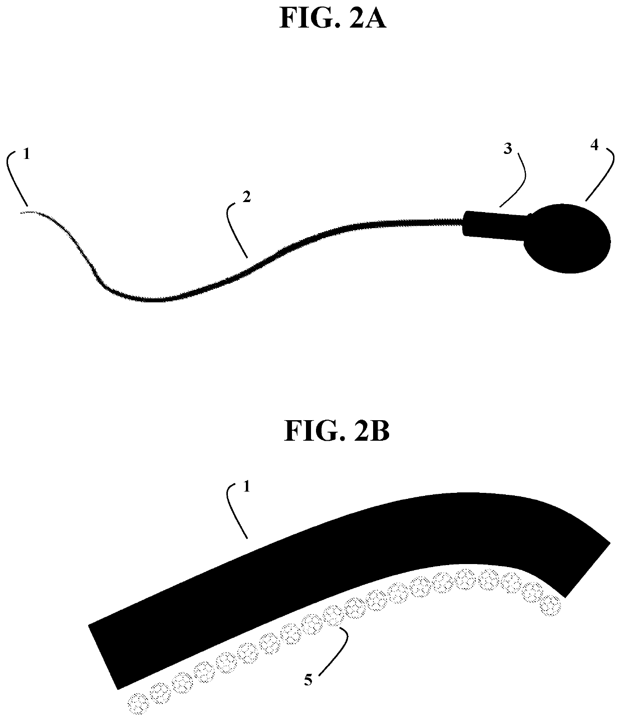 Halogenated Fullerene Functionalized as a Biocidal and Chemotactic Spermicide to Vaginally Harbor and Neutralize Spermatozoa for Use as a Safe and Effective Contraceptive