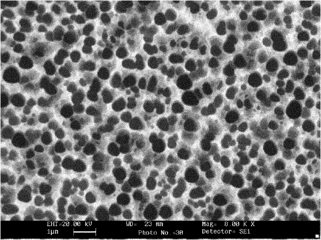 Black silicon passivation method