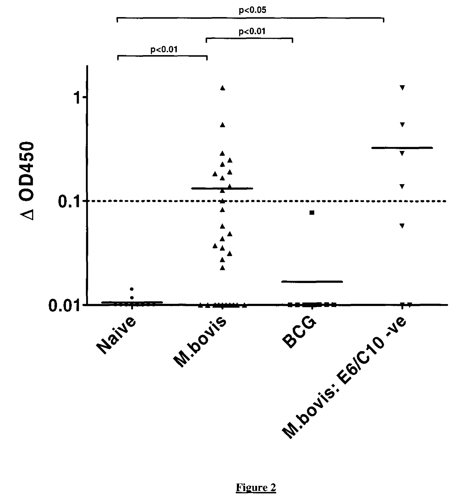 Mycobacterium antigens