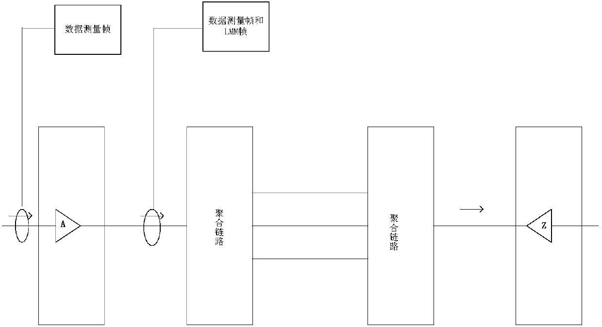 Aggregation link frame loss measurement device and method