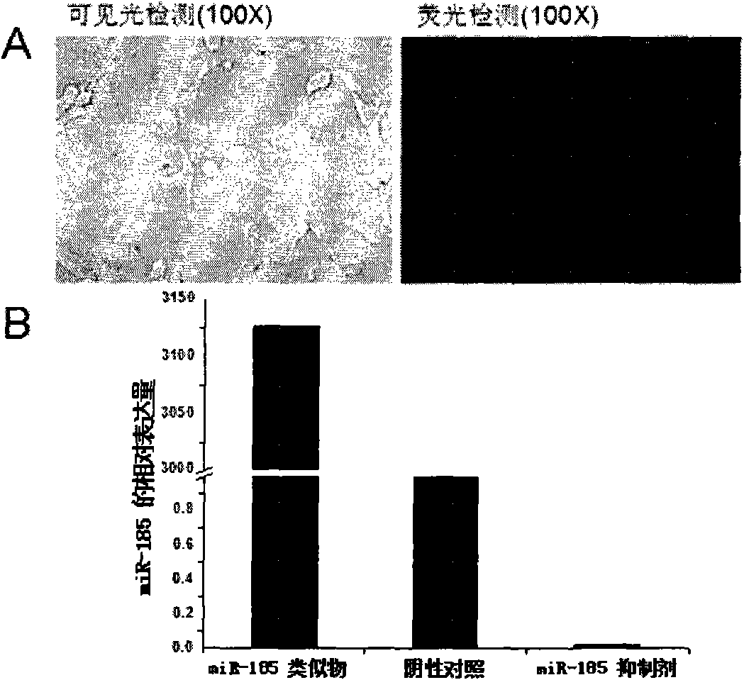 Novel application of hsa-miR-185