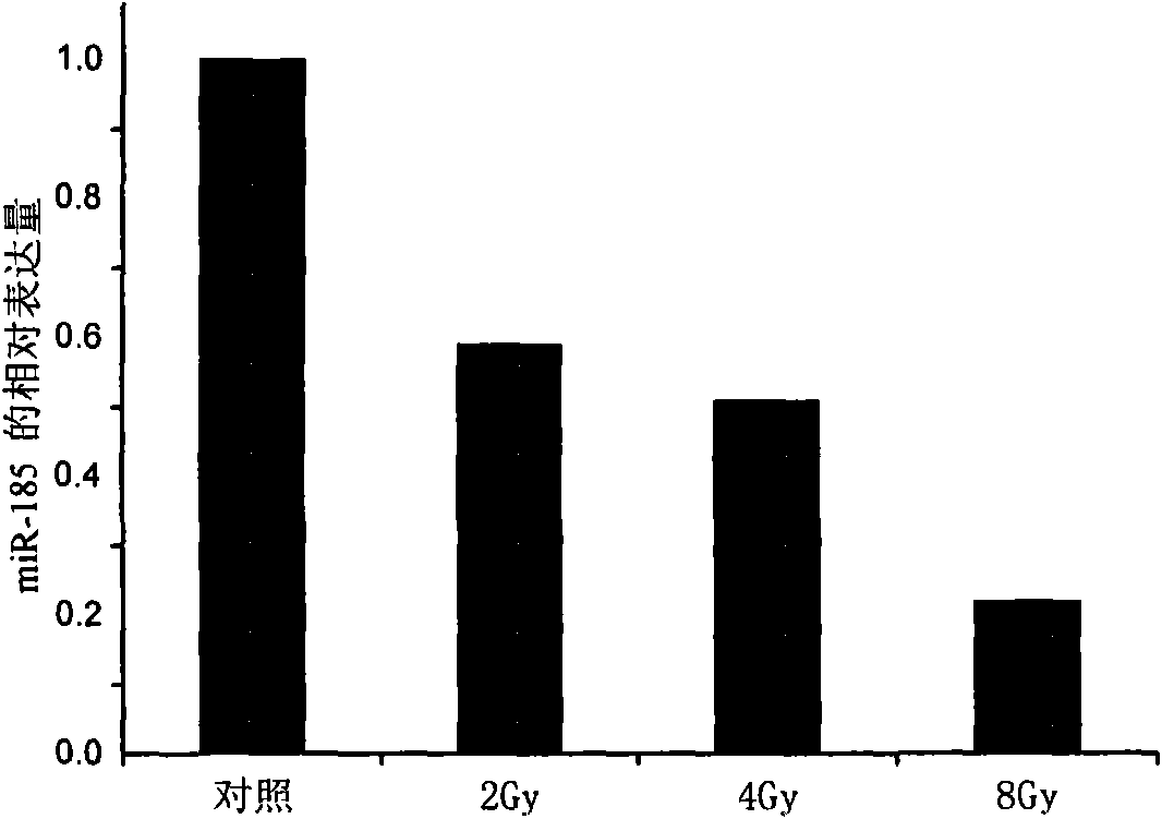 Novel application of hsa-miR-185